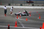 IMG_7431